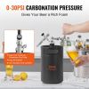 VEVOR Beer Growler Tap System, 170Oz 5L Mini Keg, 304 Stainless Steel Pressurized Beer Growler, Keg Growler with Pressure Display